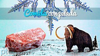 A hist贸ria da comida congelada | Minuto da Terra