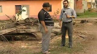 Comunidade chama equipe do TN para denunciar o corte de árvores