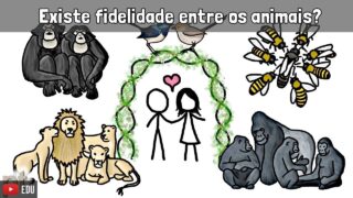 Existe fidelidade entre os animais? | Minuto da Terra