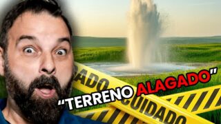 FUI NO MEU PRIMEIRO LEILAO E (QUASE) DEU TUDO ERRADO POR 200 DOLÁRES