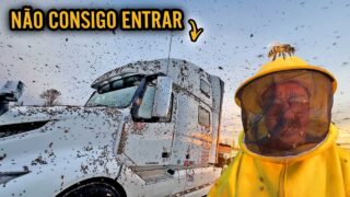 SOCORRO NĂO CONSIGO ENTRAR NO CAMINHĂO đ ME FERREI AS ABELHAS INVADIRAM TUDO đ°đ±