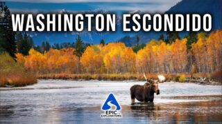 WASHINGTON ESCONDIDO | Os Lugares Mais IncrĂveis e Joias Ocultas de Washington, Estados Unidos | 4K