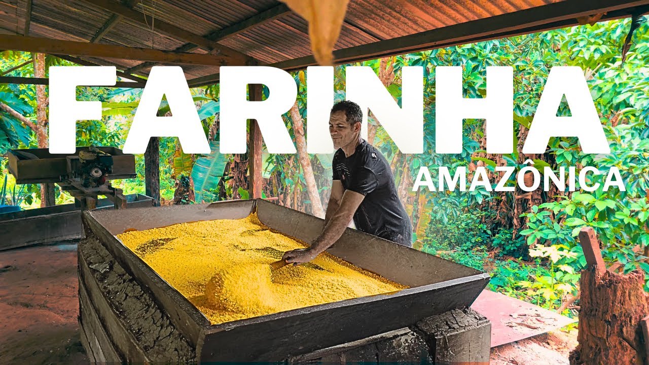 A LUTA RIBEIRINHA para SOBREVIVER na AMAZÔNIA