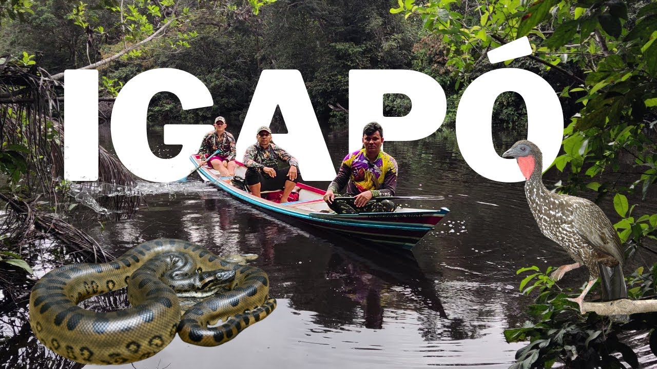 FLORESTA TOTALMENTE INUNDADA, AVENTURA NOS IGAPÓS AMAZÔNICOS!
