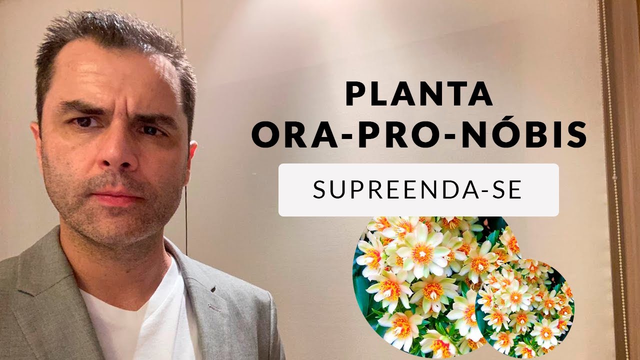 Planta Ora-Pro-Nóbis! Acrescente na sua Dieta.