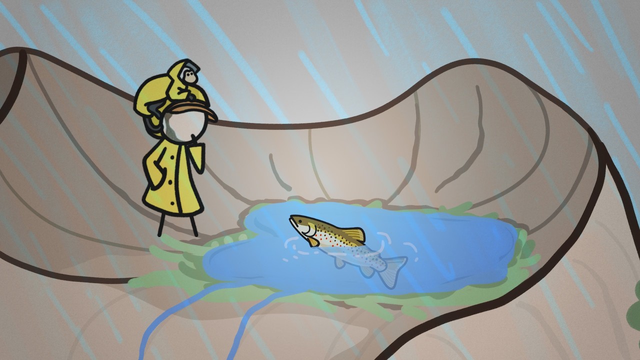 Como peixes vão parar em lagos no alto das montanhas? | Minuto da Terra