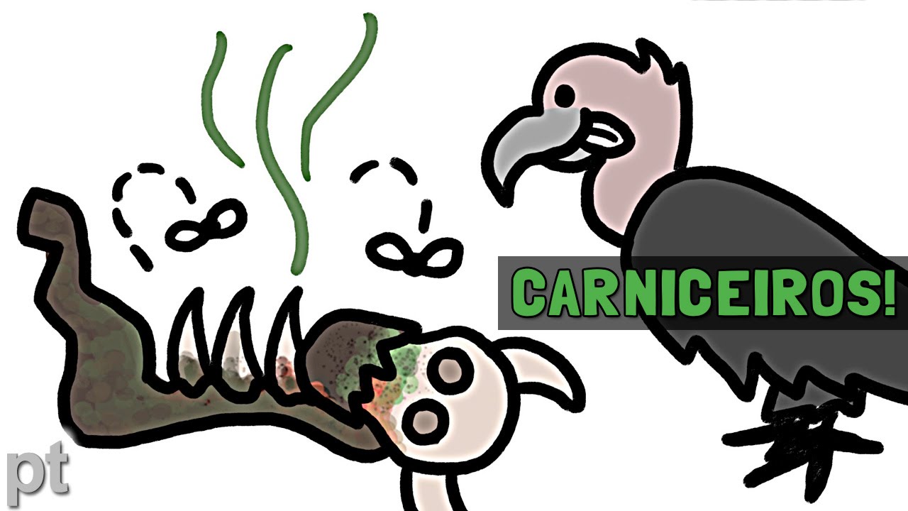 Como os urubus comem carne podre e não adoecem? | Minuto da Terra