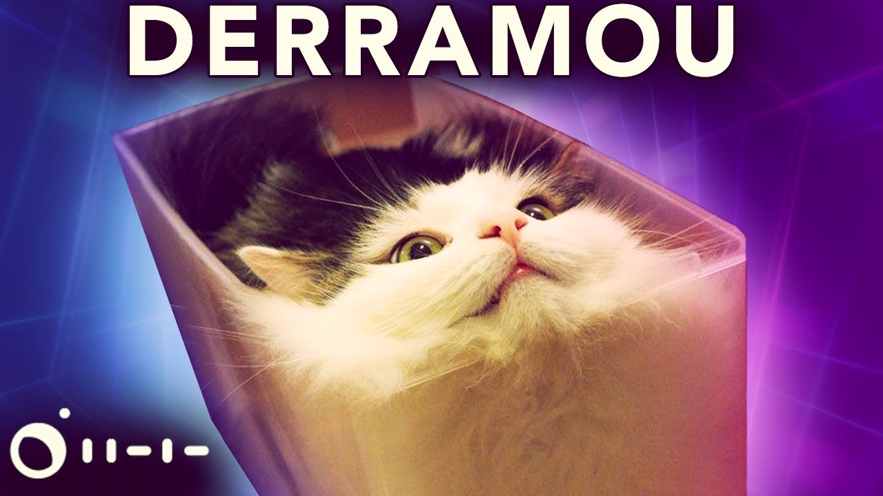 por que GATOS são LÍQUIDOS?