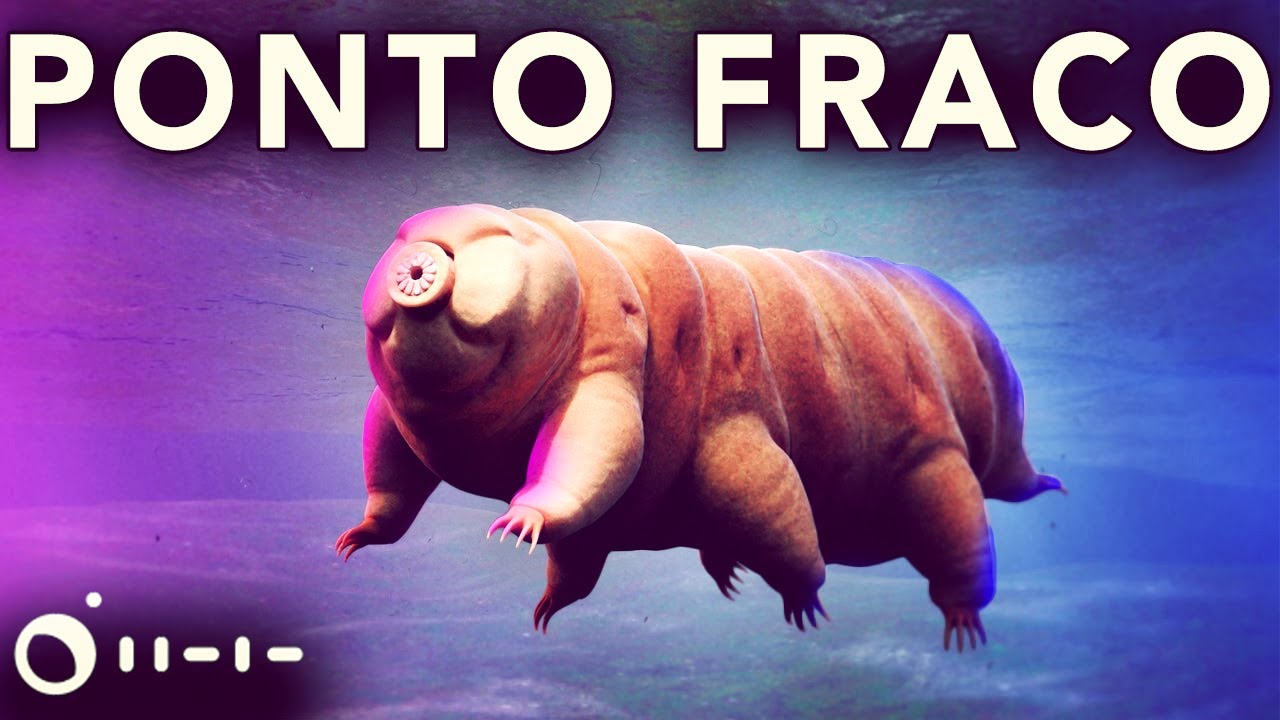 como DESTRUIR TARDÍGRADOS