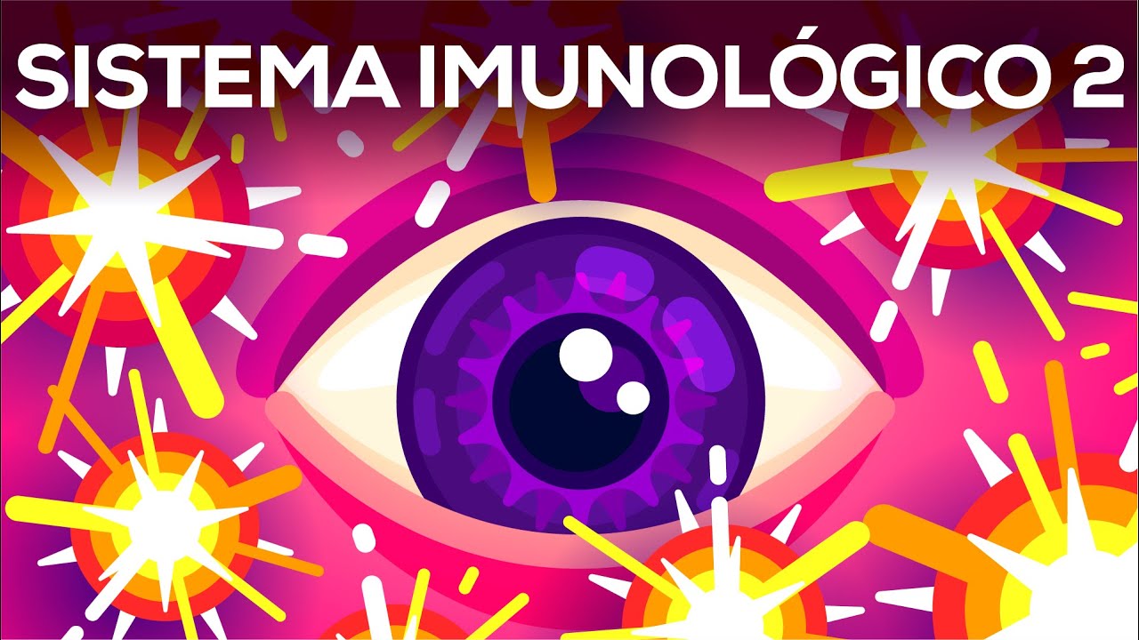 Bombinhas no seu sangue – O Sistema complemento