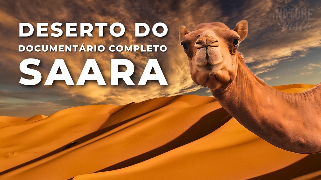 DESERTO DO SAARA | Uma Terra de Extremos – Documentário Completo