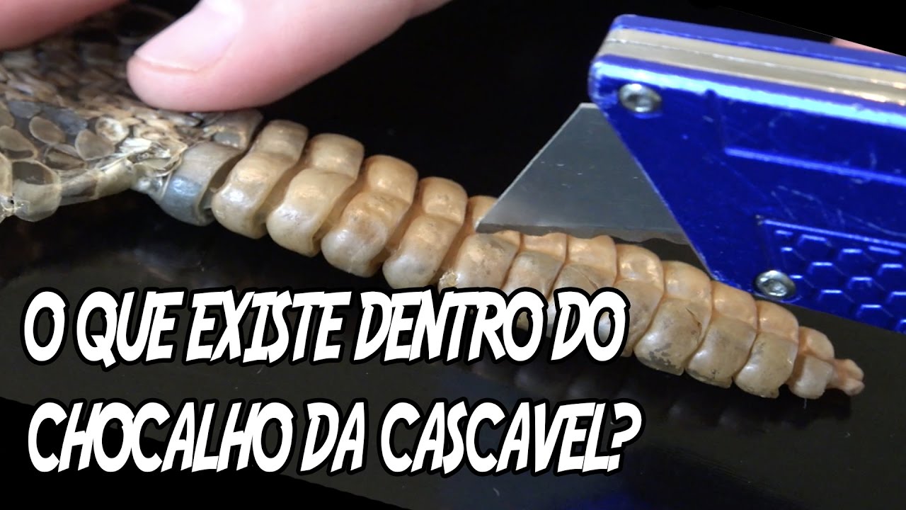 5 coisas que você não imaginava como são de verdade