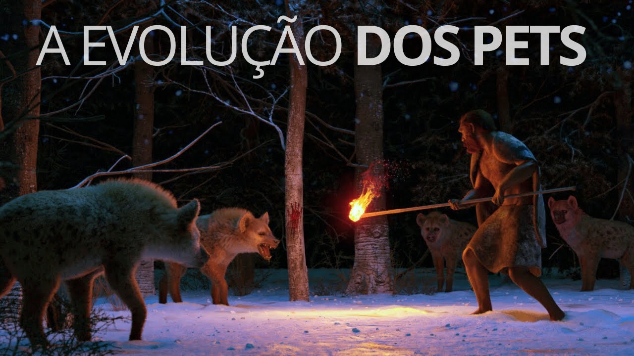 A história dos cães e gatos: quem domesticou quem?