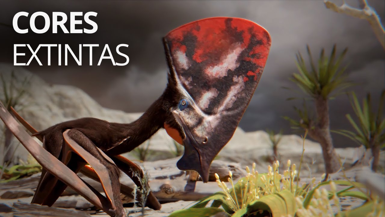 Como a ciência decifrou as cores REAIS desses 5 animais extintos?