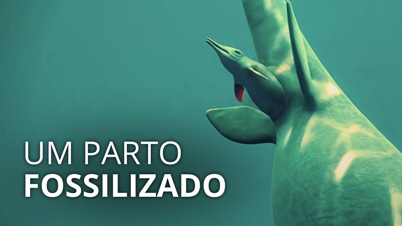Quando os répteis pariam na água!