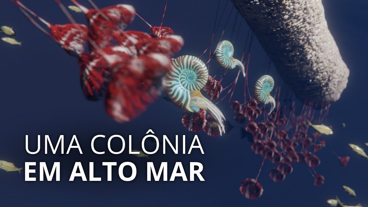 O fóssil mais bonito do mundo