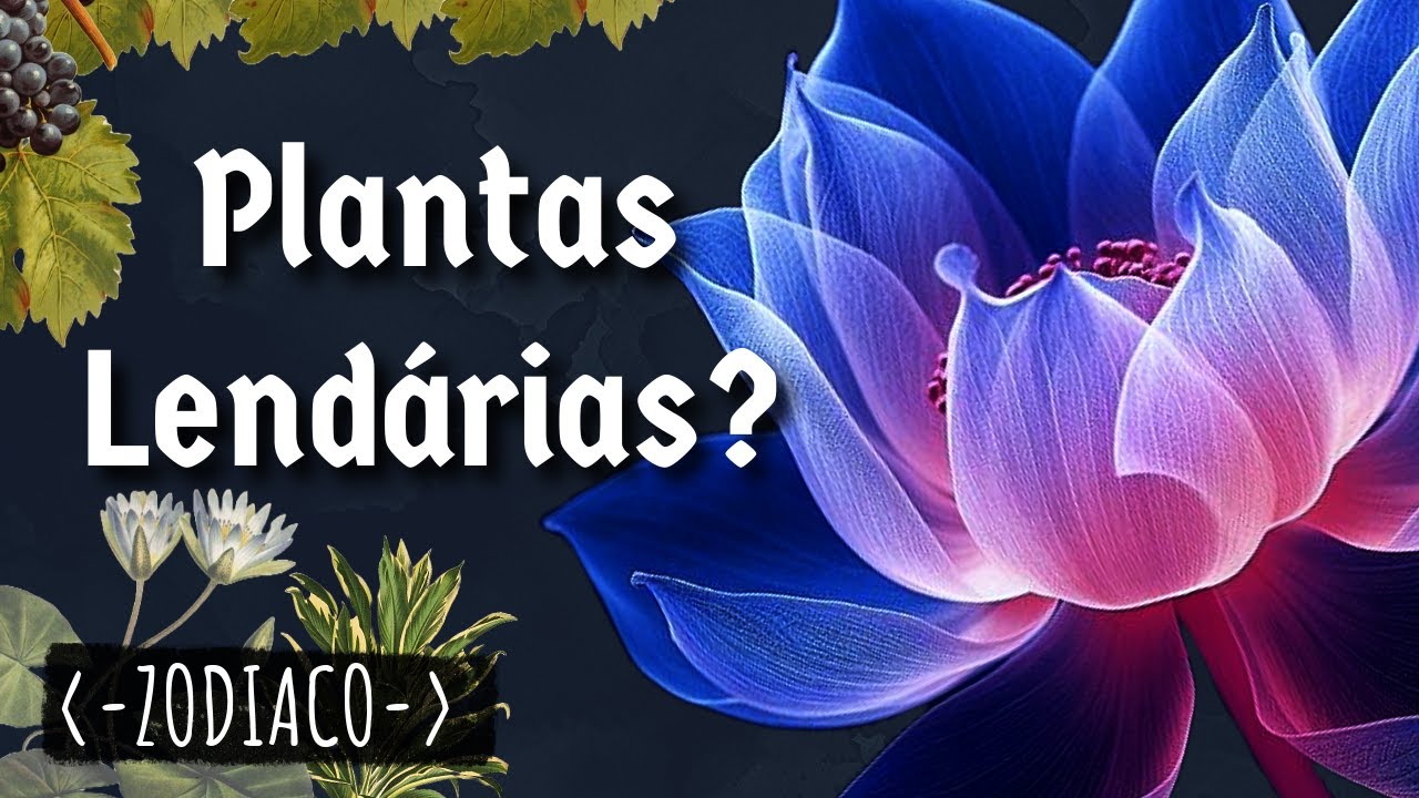O Fascinante mundo da Cripto-Botânica