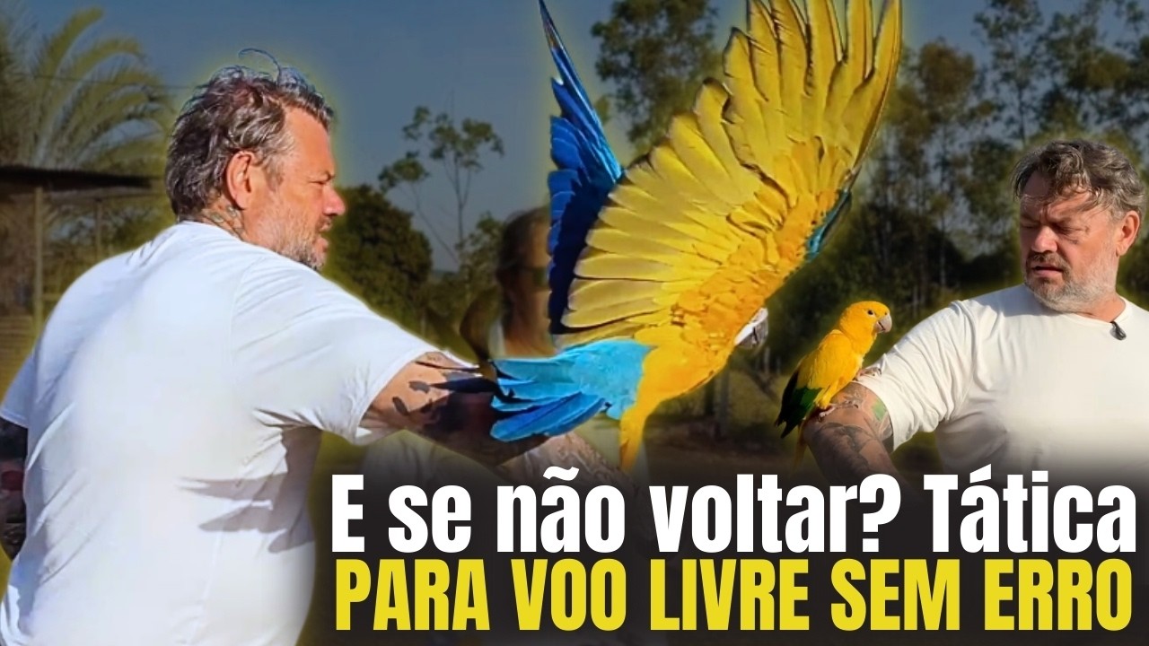 ELA VAI EMBORA?! VOO LIVRE DE FORMA SEGURA!