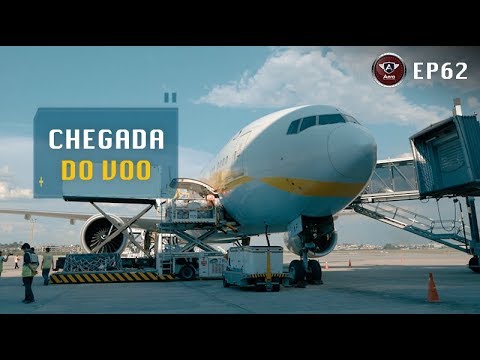 O Que Acontece no Aeroporto Quando Chega um Avião?
