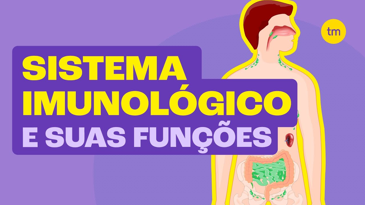 Como funciona o SISTEMA IMUNOLÓGICO (Resumão)