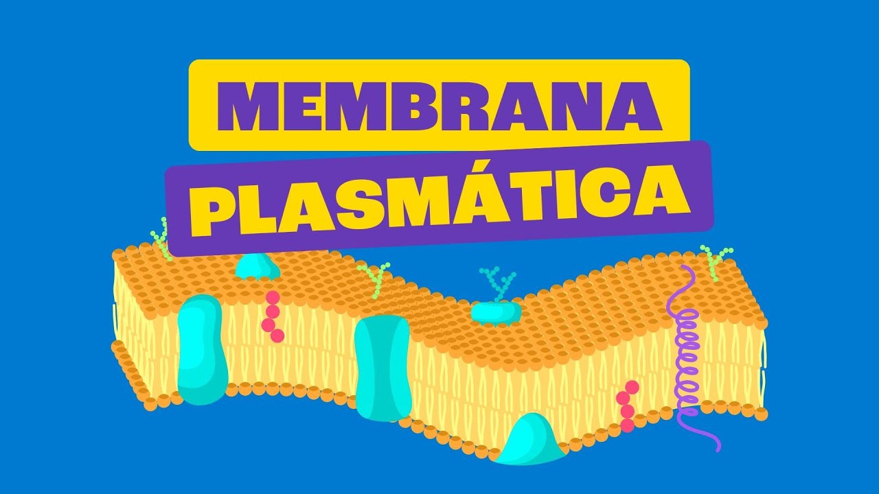 Membrana Plasmática – Toda Matéria