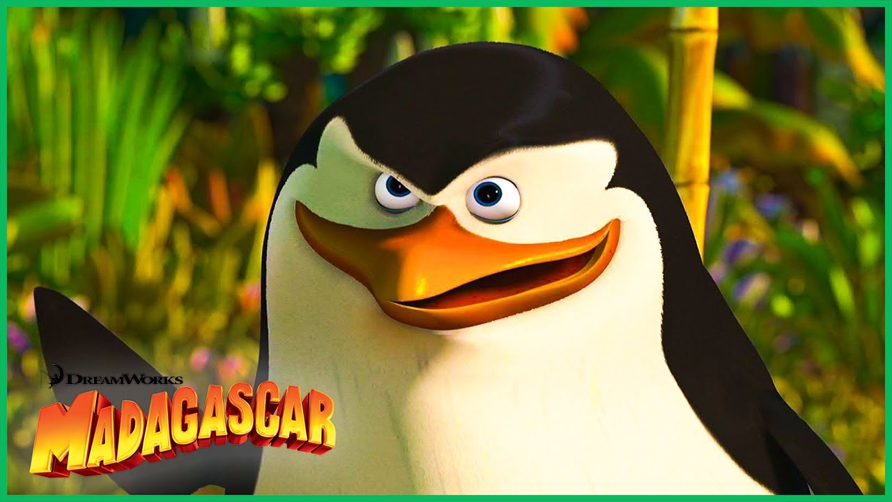 Pinguins ao Resgate! 🛟 | Madagascar | Desenhos Animados em Português