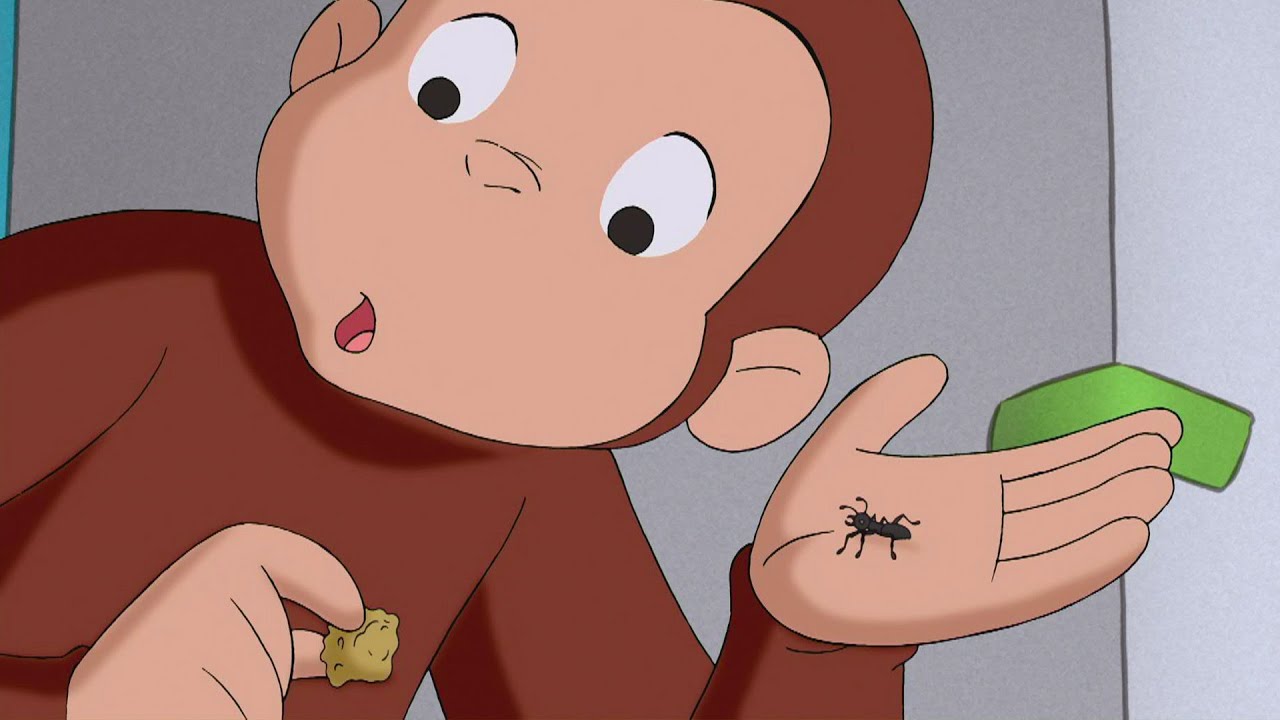 George Encontra uma Colônia de Formigas | Episódios Completos 🐵 George, o Curioso