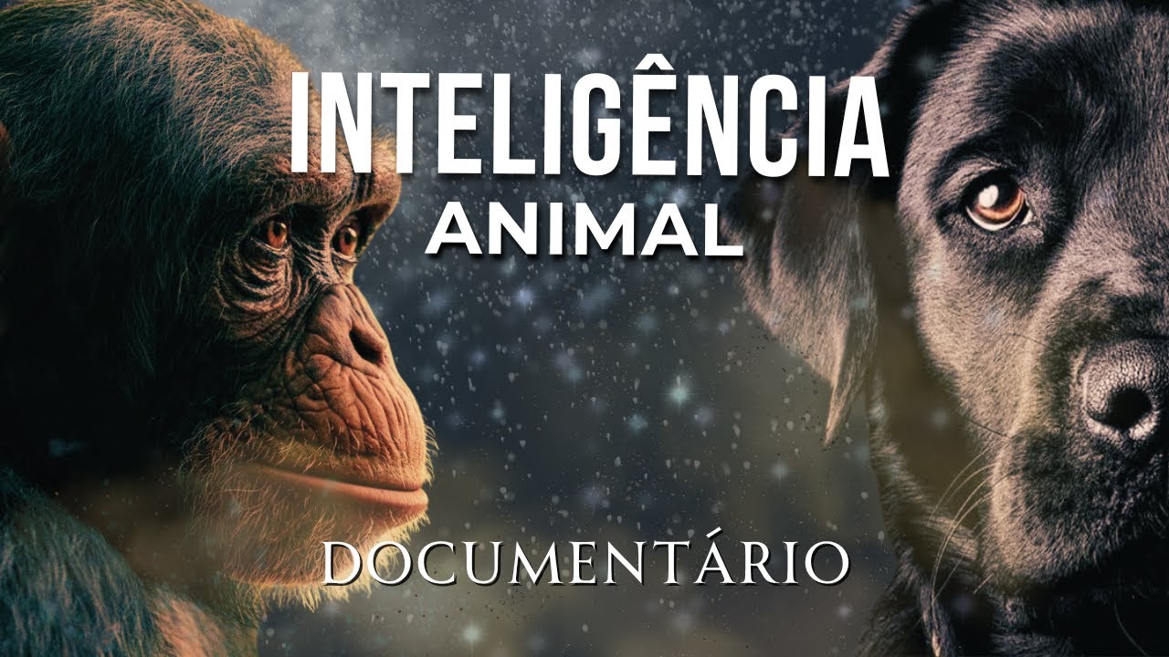 Os Animais Mais INTELIGENTES do Mundo – Um Documentário Fascinante Sobre a Mente Animal