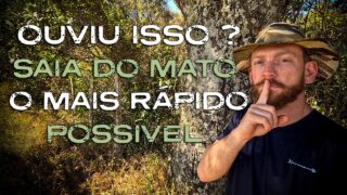 3 Animais que Alertam Sobre Perigos no Mato