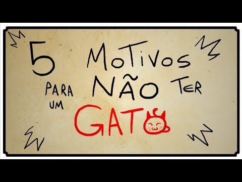 5 MOTIVOS PARA NÃO TER UM GATO