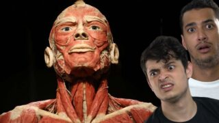 7 CURIOSIDADES rápidas sobre o CORPO humano