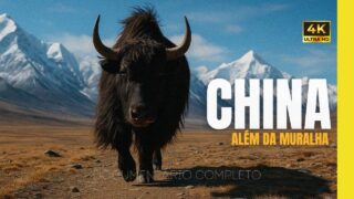CHINA Além da Muralha: A Vida Selvagem Esquecida – DOCUMENTARIO 4K