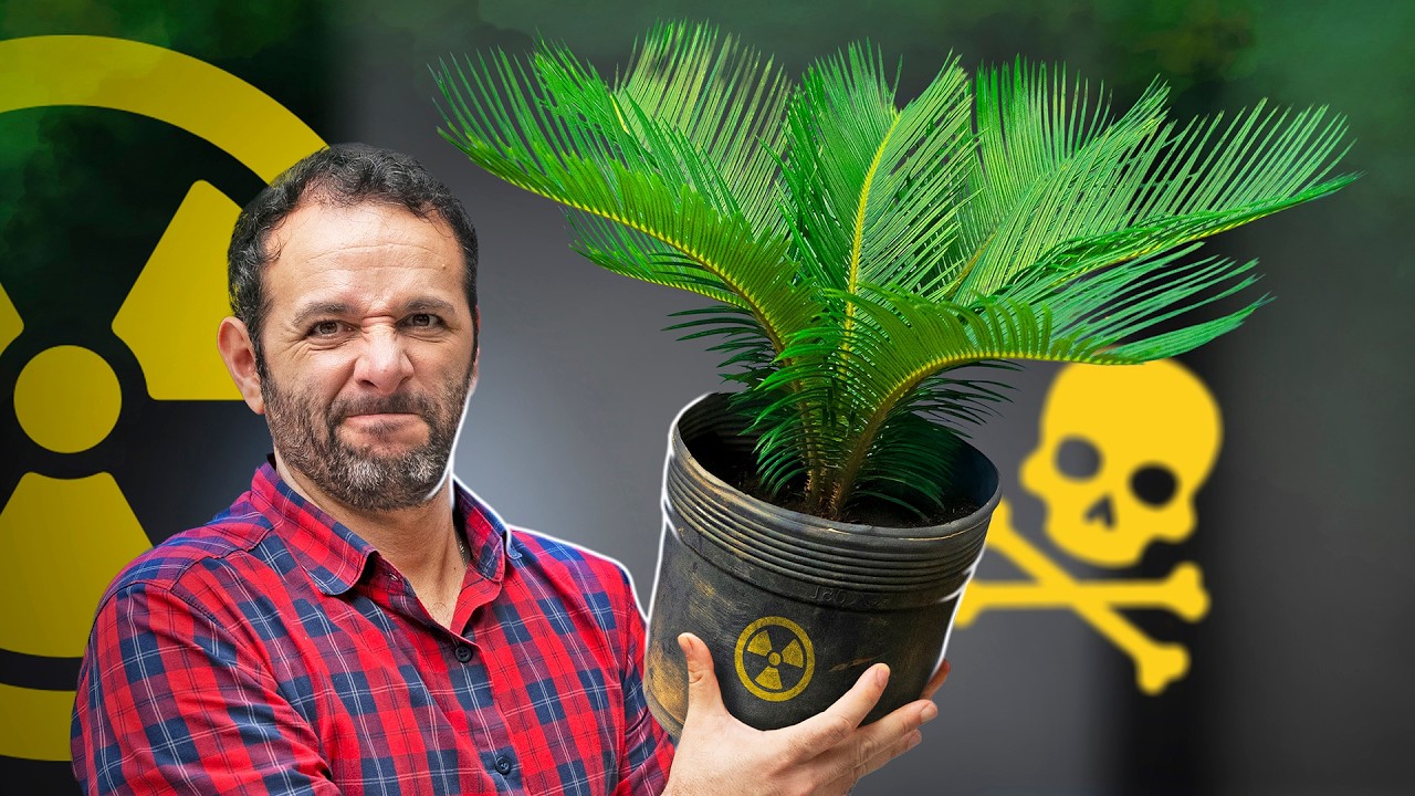 CUIDADO! Essa PLANTA é VENENO pro seu CACHORRO!