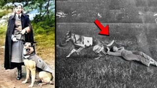 Ela Usava Cachorros Para Torturar Prisioneiras – A EX3CUÇÃO de Johanna Bormann