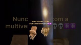 Minha cachorra veio de um universo paralelo @kurzgesagt_br @CienciaTodoDia do buraco negro🌑