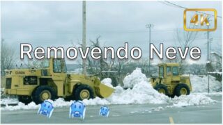 O Que Aconteceu Com o Peterbilt 389 – Ep13/19