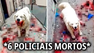 POLICIAIS QUE MEXERAM COM OS CRIMINOSOS ERRADOS