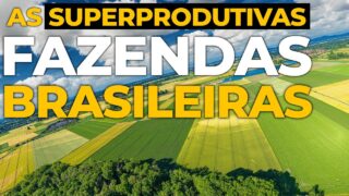 POR QUE o AGRONEGÓCIO Brasileiro é tão IMPORTANTE para o MUNDO?