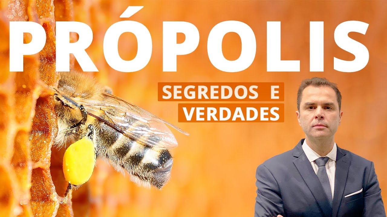 🐝🍯 PRÓPOLIS! Para que serve? Dr. Fernando Lemos – Planeta Intestino
