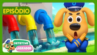 Proteja Nossa Água 🚰💧 Dicas de Segurança (Episódio 238) 📝 Desenho Animado 🔍 Detetive Labrador