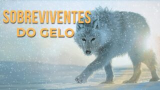 SOBREVIVENTES DO GELO | Os Animais que Desafiam o Frio Extremo | Documentário Completo
