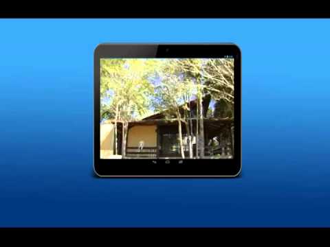 TIMOL – DEPOIMENTO SR. DIONÍZIO 27966 VTS 18 1