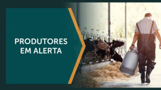 Tarifaço atinge diretamente produtores de médio e pequeno porte