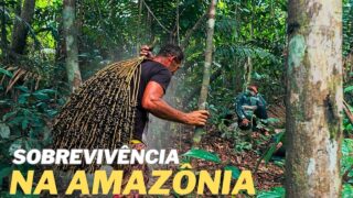 VIVER da NATUREAZA NÃO É FÁCIL, ESSA é a DIFICULDADE pra CONSEGUIR COMIDA na AMAZÔNIA
