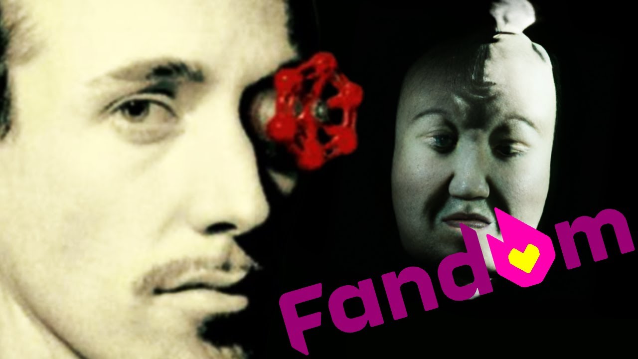 Wikis Bizarras da Internet