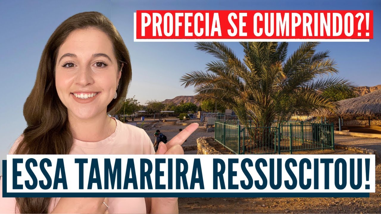PROFECIAS SE CUMPRINDO EM ISRAEL? O milagre da tamareira de 2000 anos!
