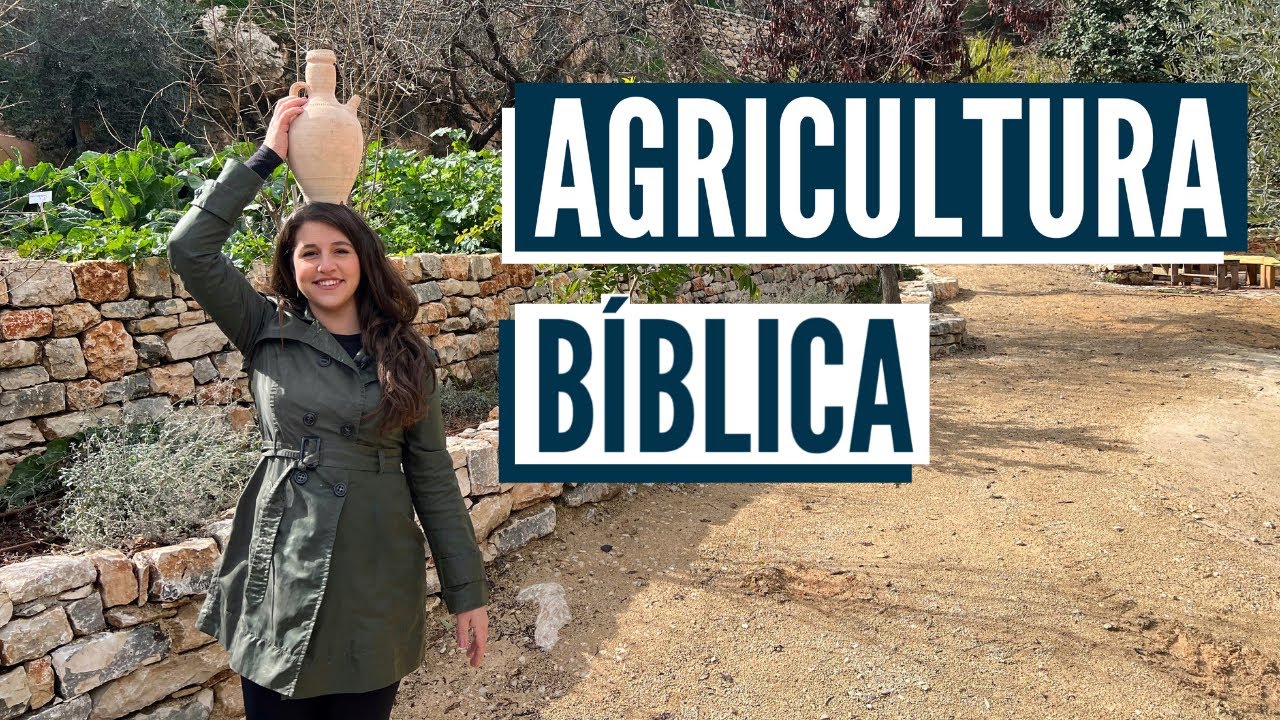 COMO ERA A VIDA NOS TEMPOS DE JESUS? Agricultura bíblica