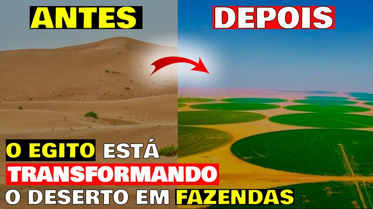 ⚠️ O GIGANTESCO projeto do Egito para TRANSFORMAR o DESERTO em FAZENDAS✅