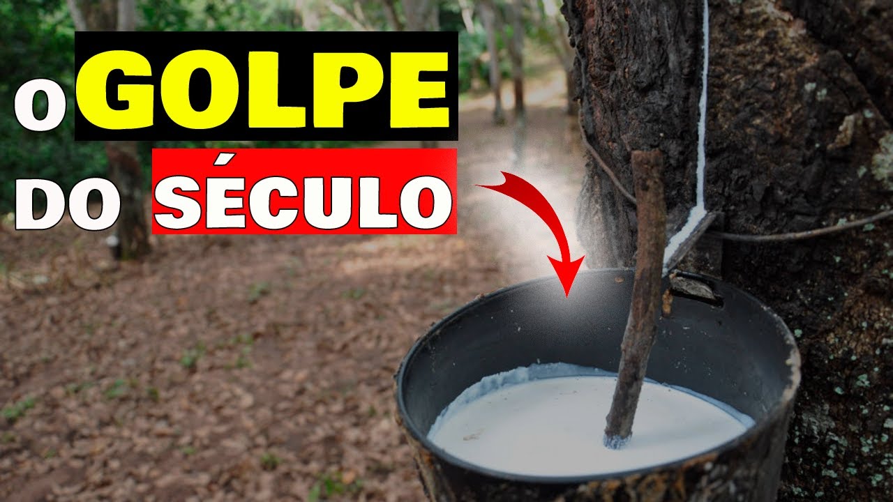 💰O ROUBO HISTÓRICO que fez o Brasil deixar de ser o LÍDER MUNDIAL na produção de LÁTEX🌳