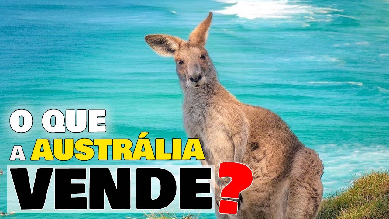 😳O que a  AUSTRÁLIA 🇦🇺 VENDE AO MUNDO para ser TÃO RICA❓